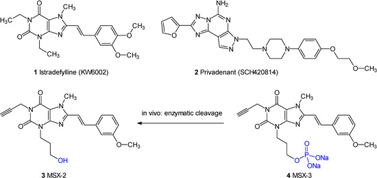 Molecules 13 00348 g001 550