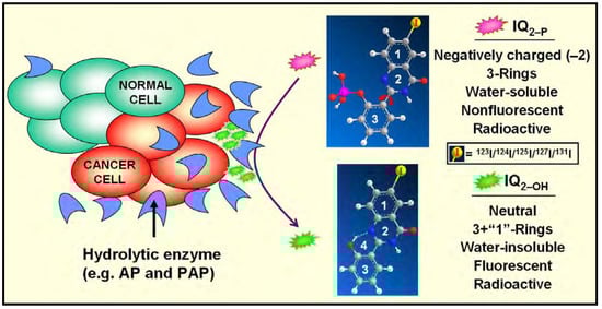 Molecules 13 00391 g001 550