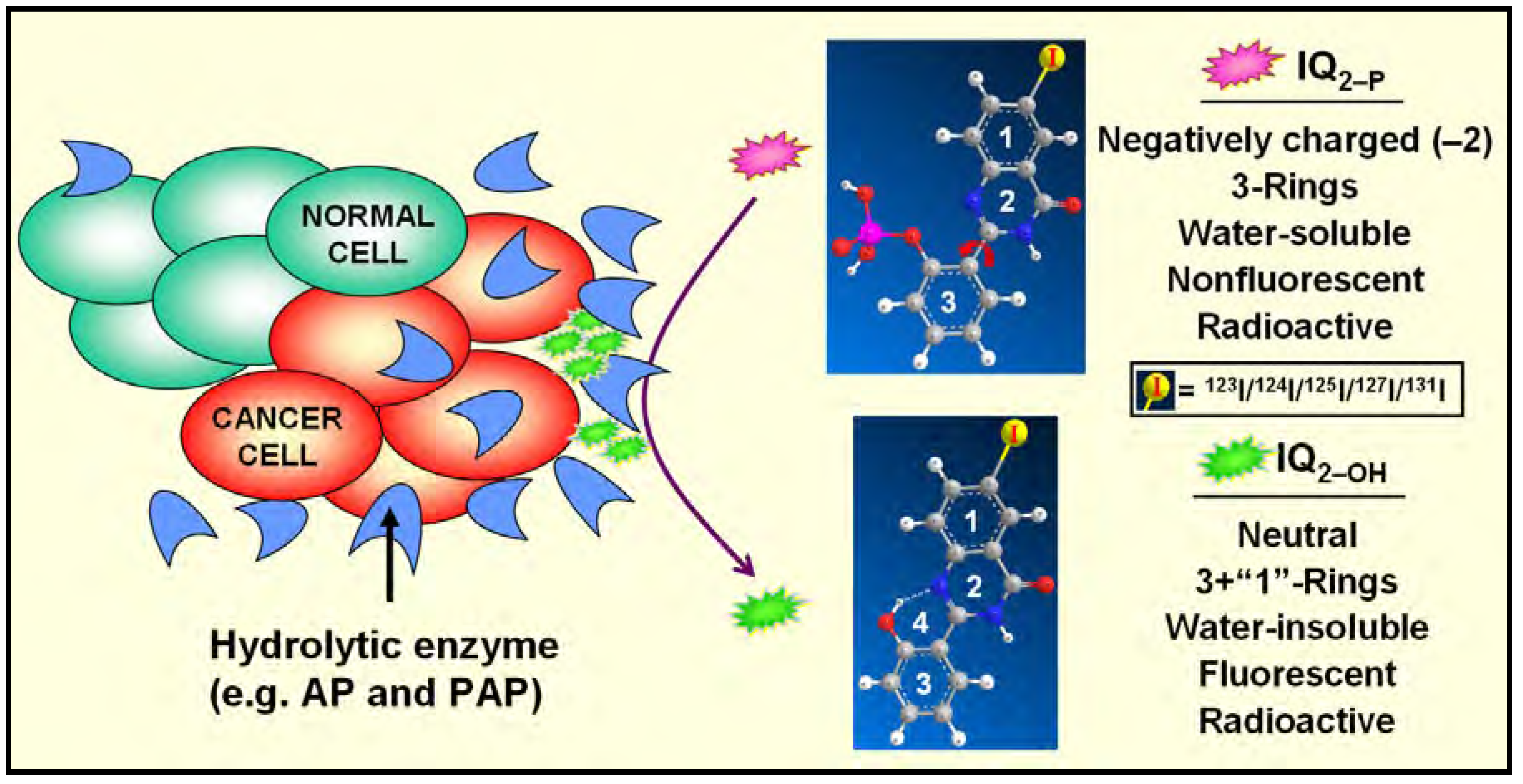 Molecules 13 00391 g001