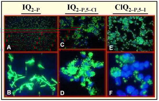 Molecules 13 00391 g005 550