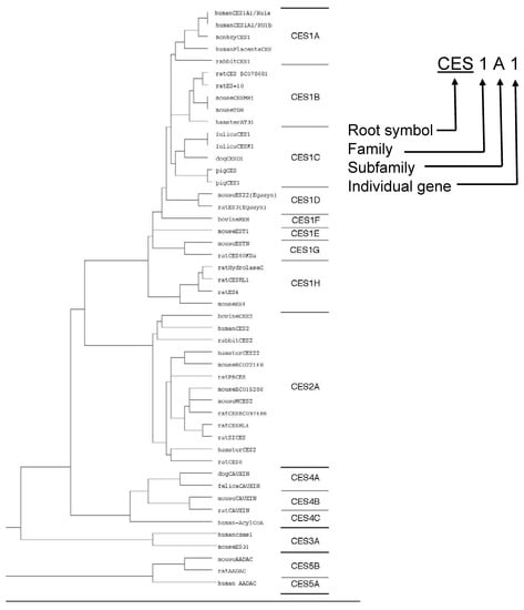 Molecules 13 00412 g002 550