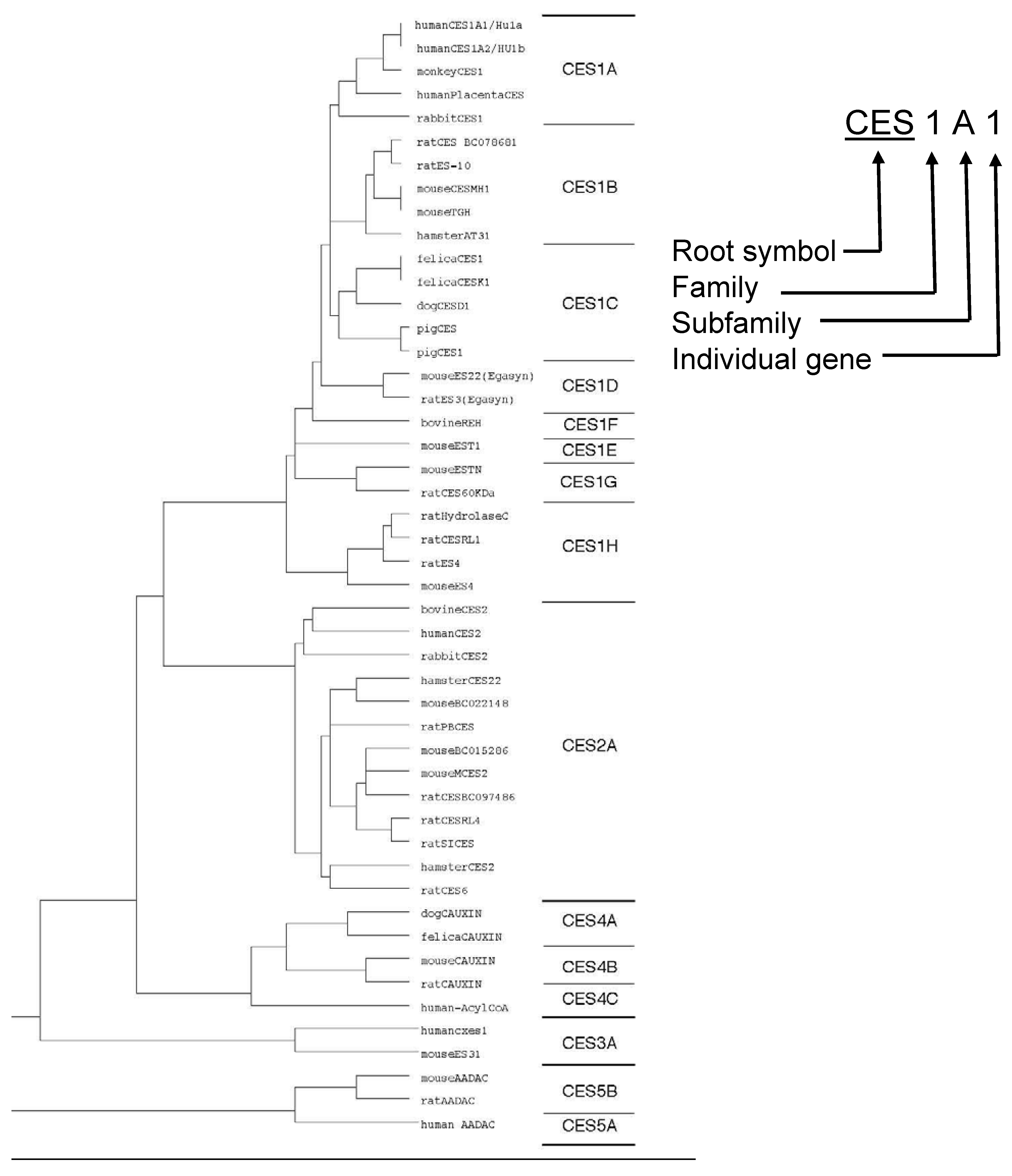Molecules 13 00412 g002