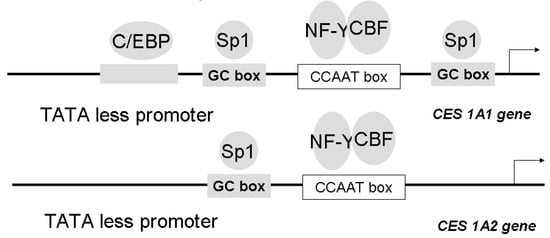 Molecules 13 00412 g004 550