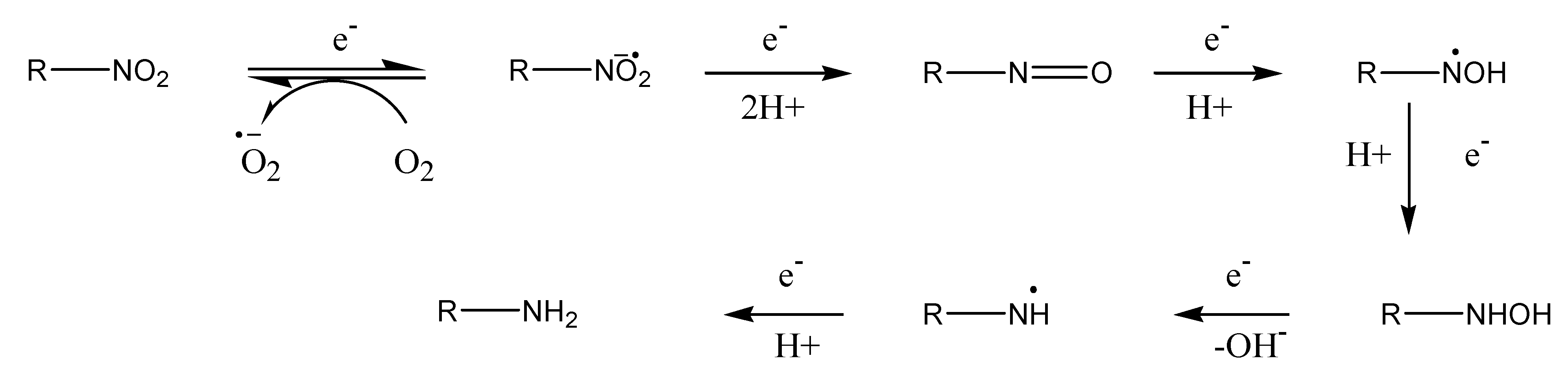 Molecules 13 00519 g007