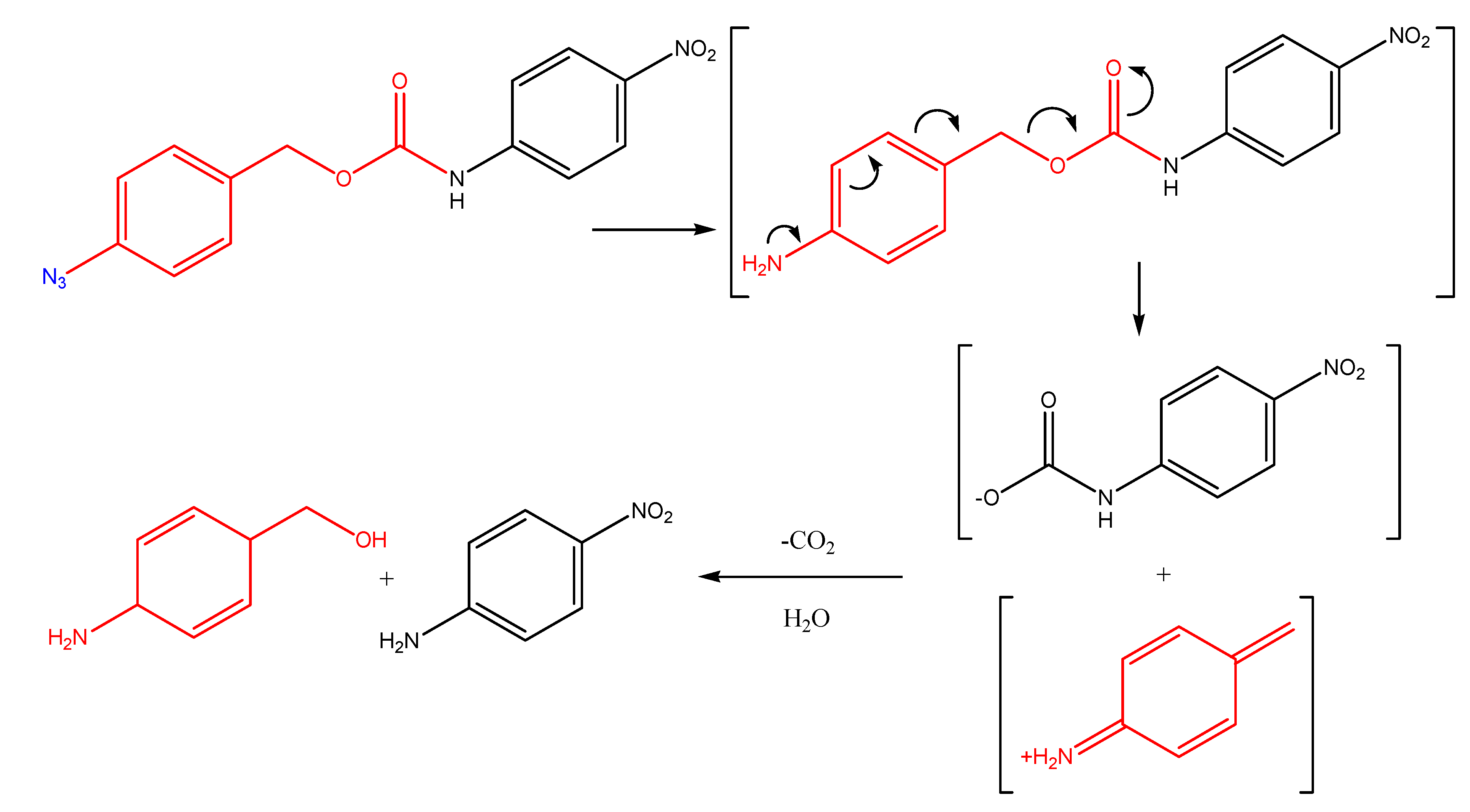 Molecules 13 00519 g009