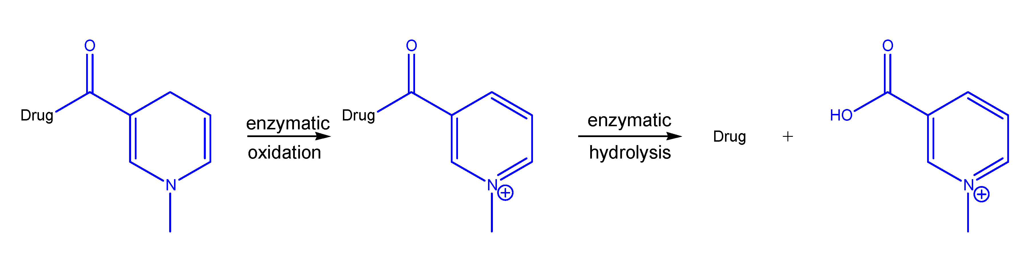 Molecules 13 00519 g010