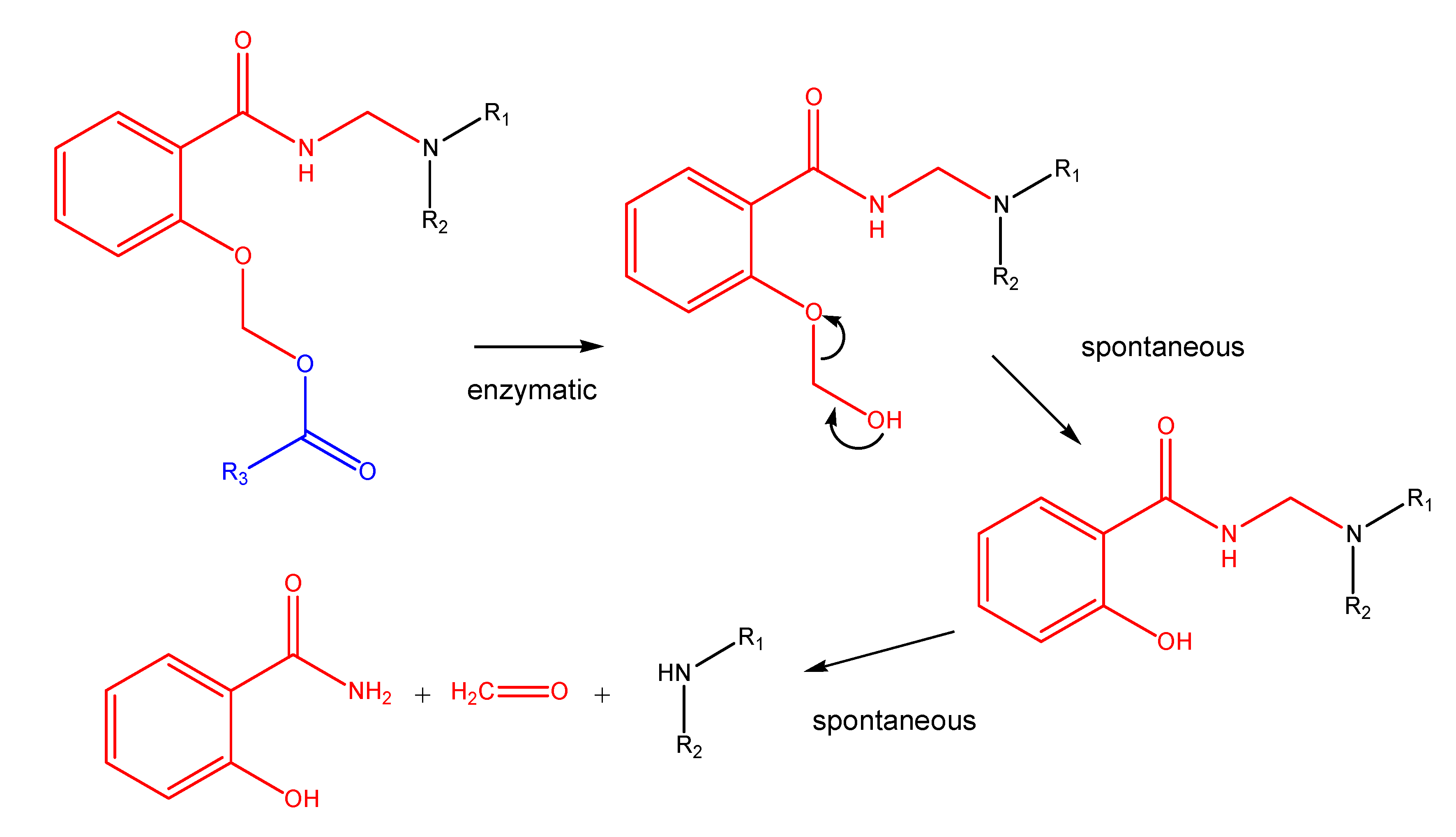Molecules 13 00519 g013