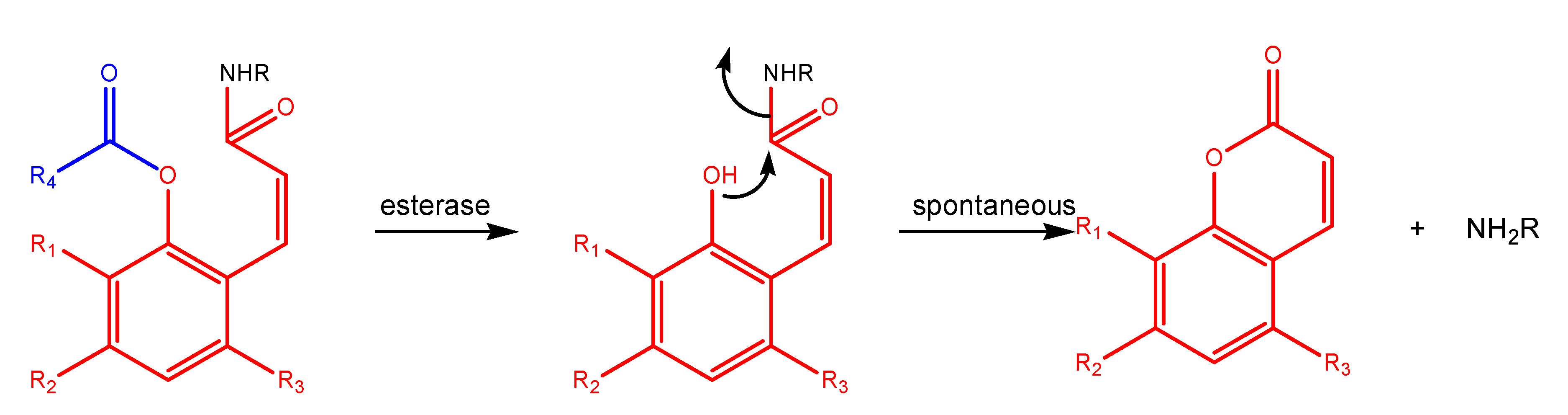 Molecules 13 00519 g019