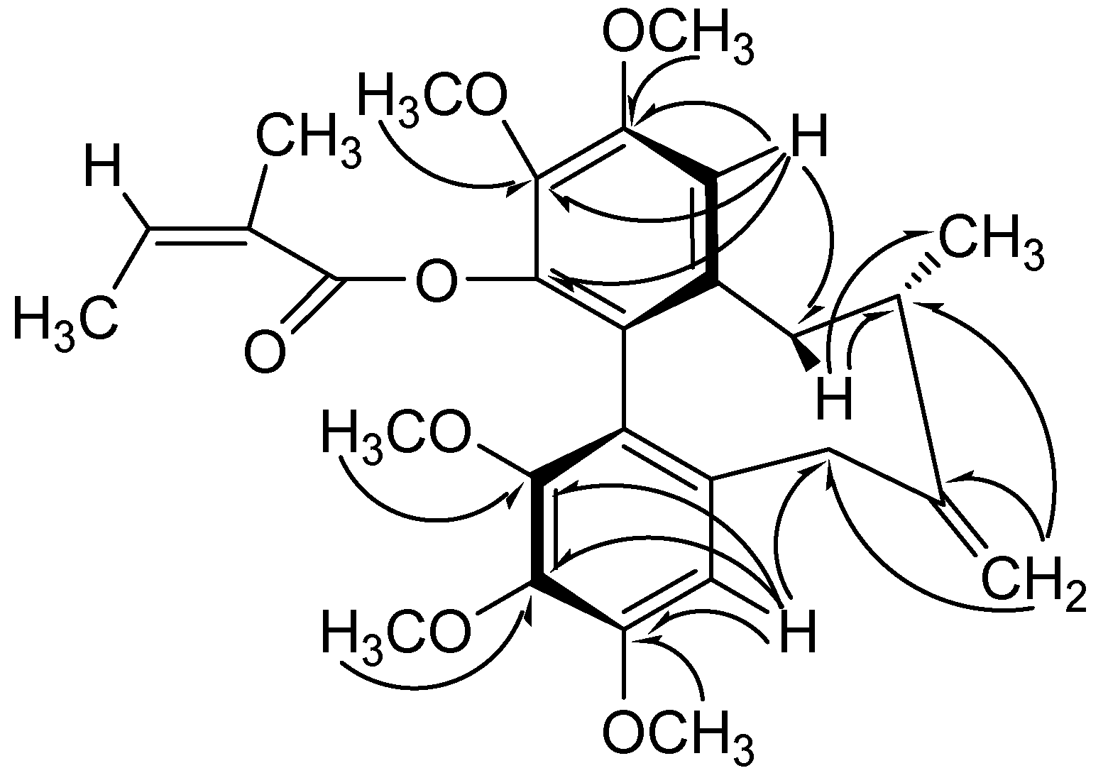 Molecules 13 00548 g004