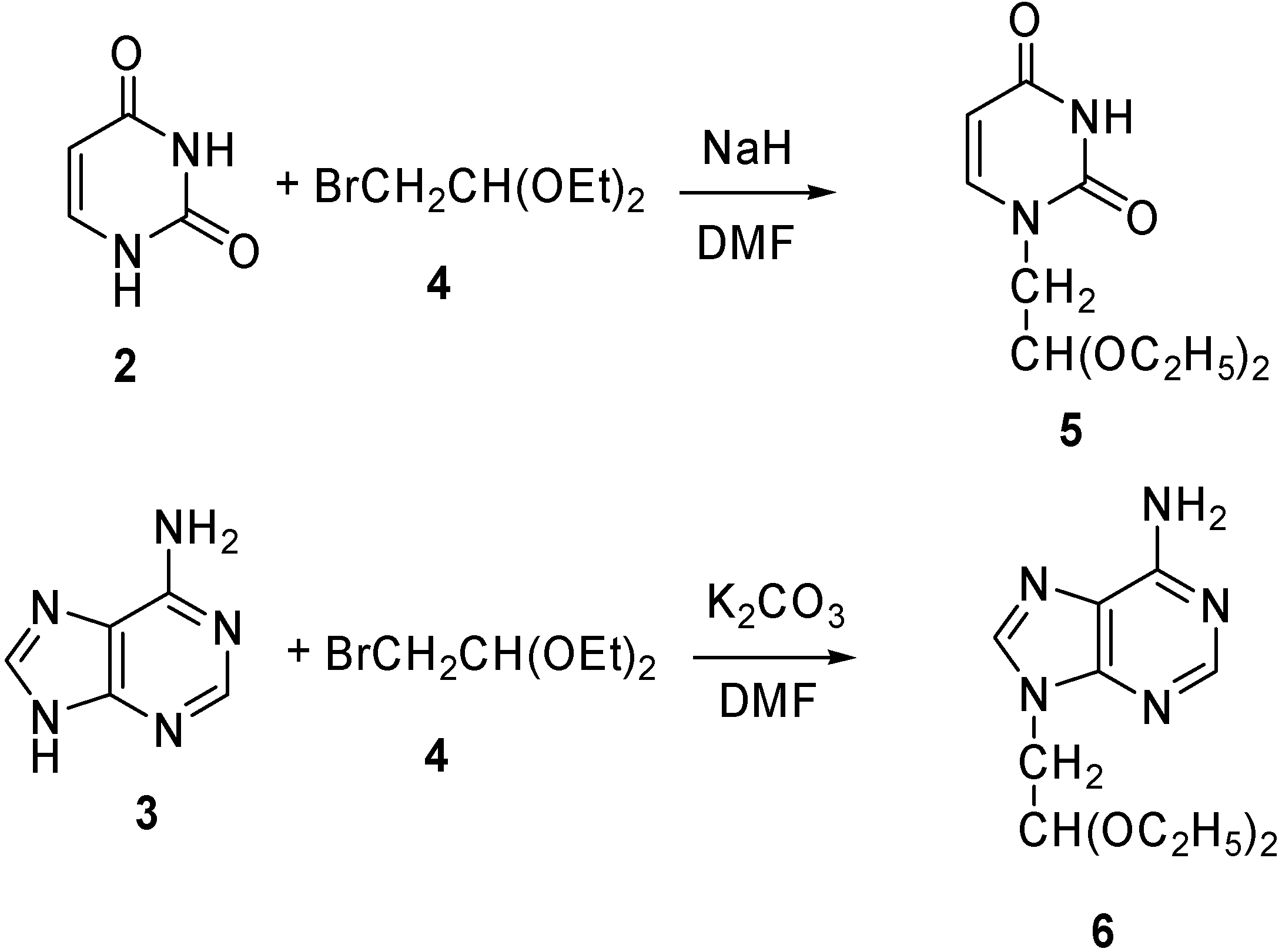 Molecules 13 00701 g005