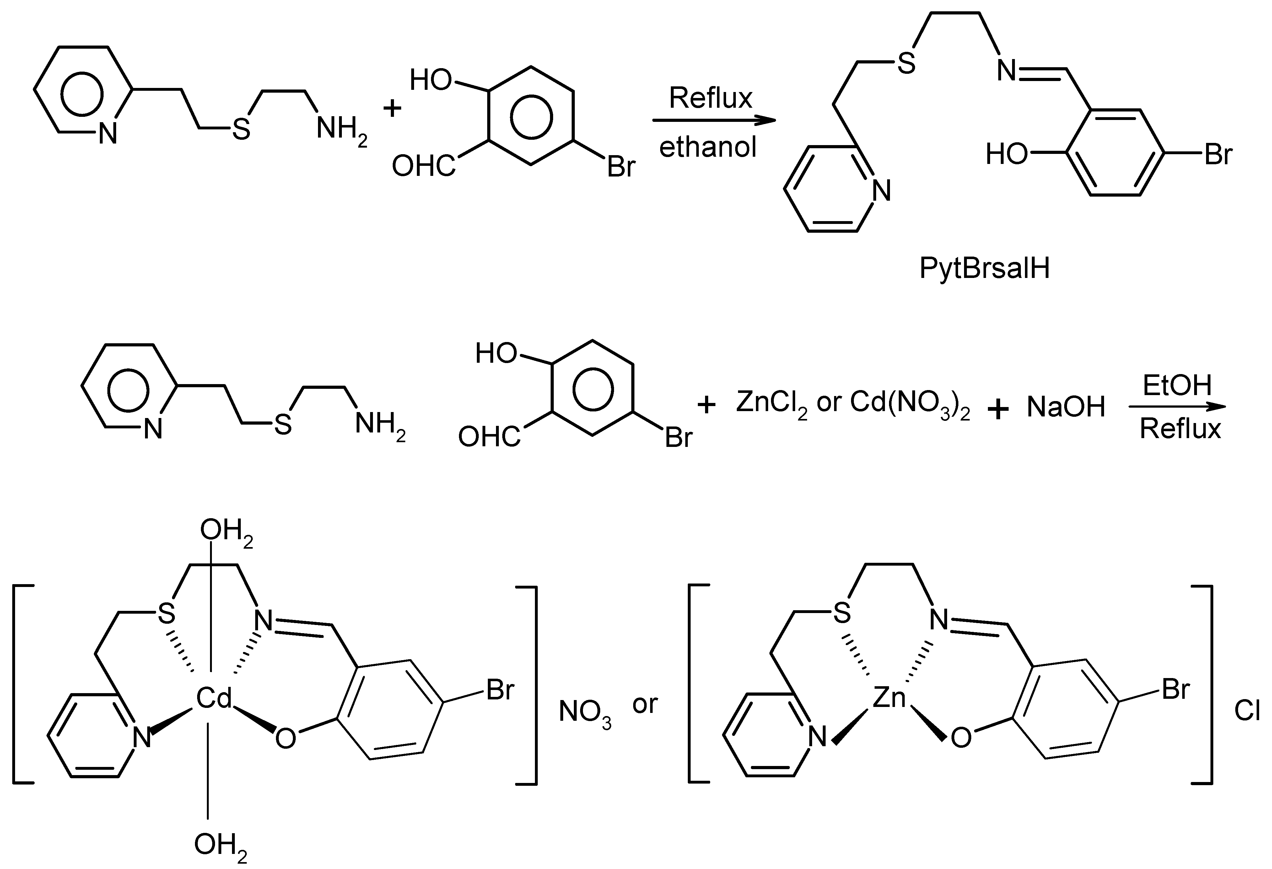 Molecules 13 00804 g003
