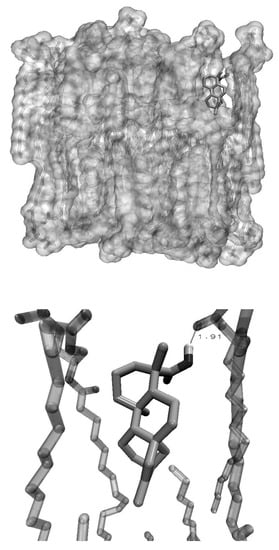 Molecules 13 00882 g002 550