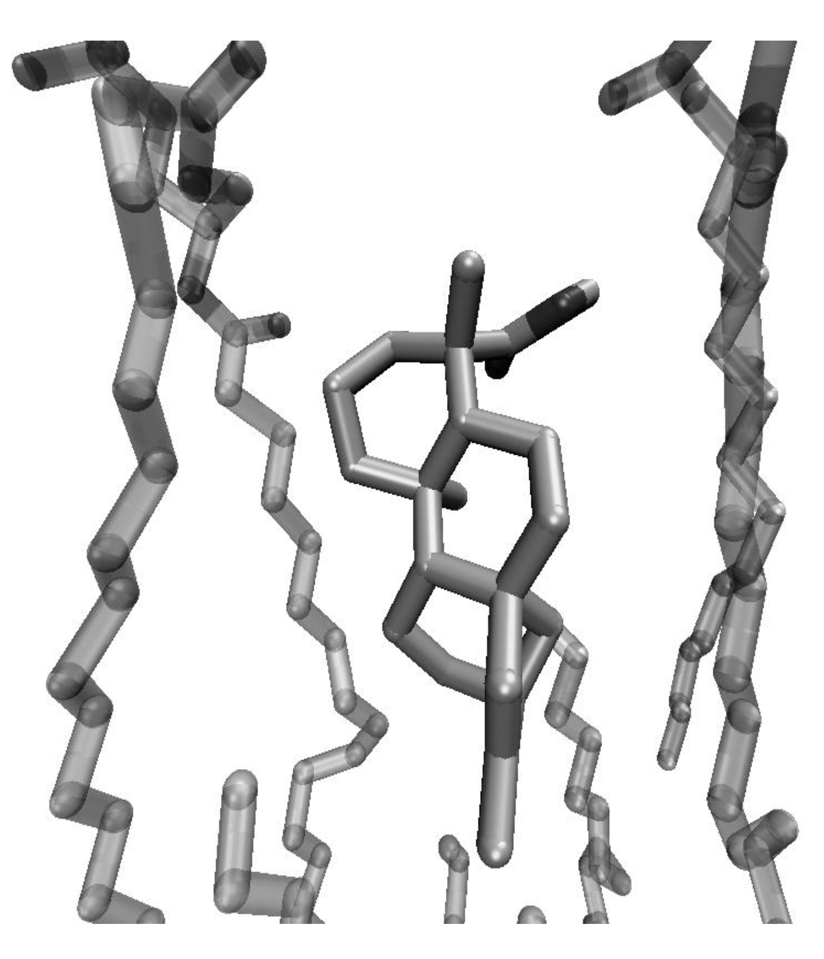 Molecules 13 00882 g003