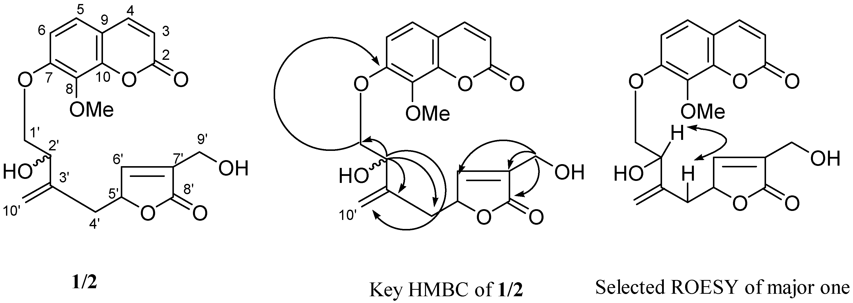 Molecules 13 00931 g001