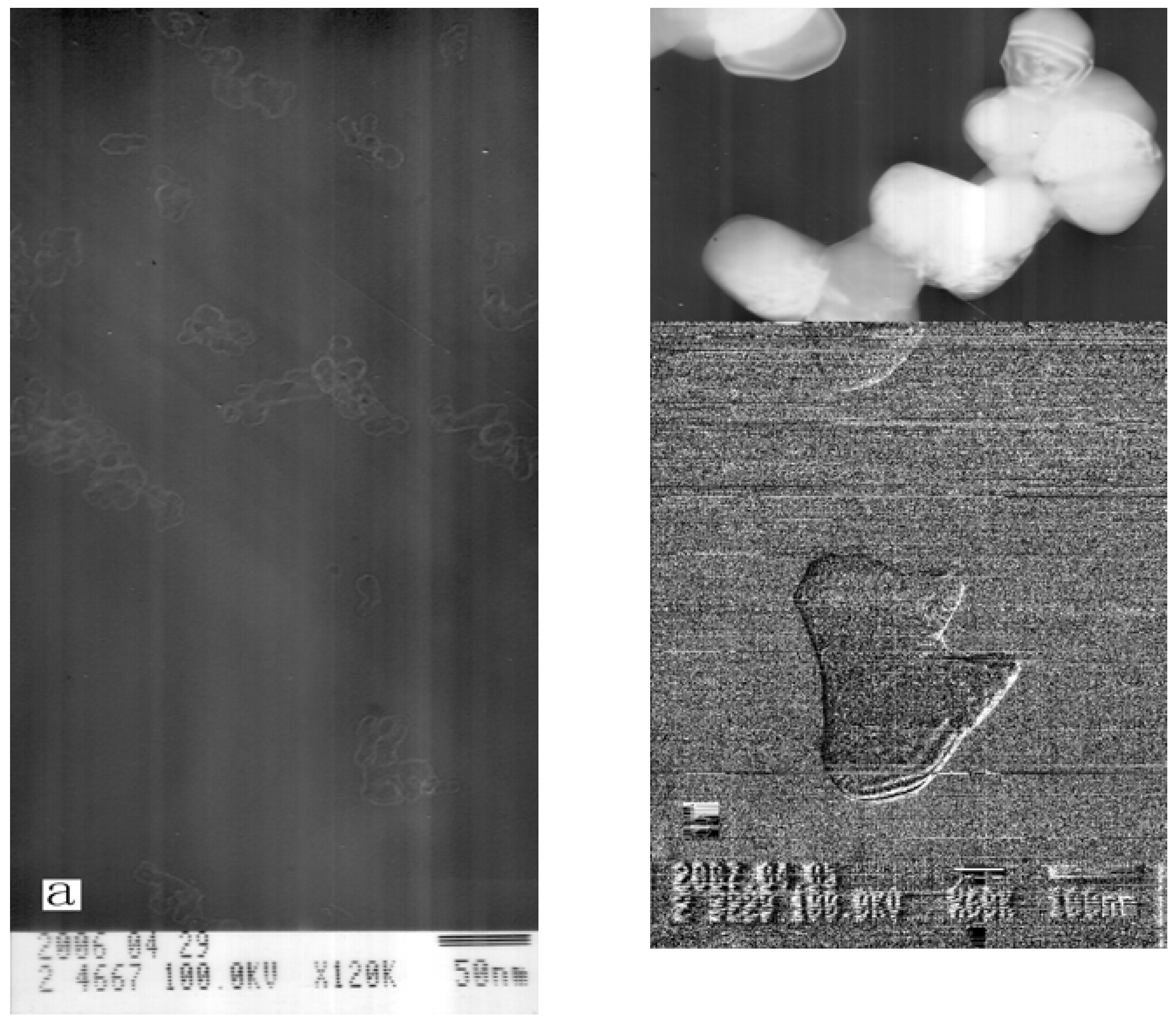 Molecules 13 00948 g004