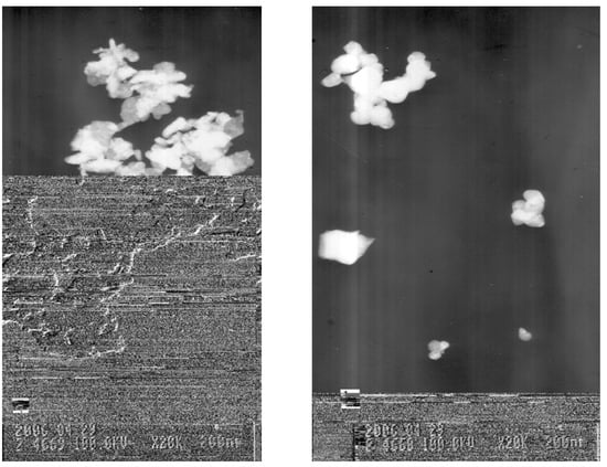 Molecules 13 00948 g010 550