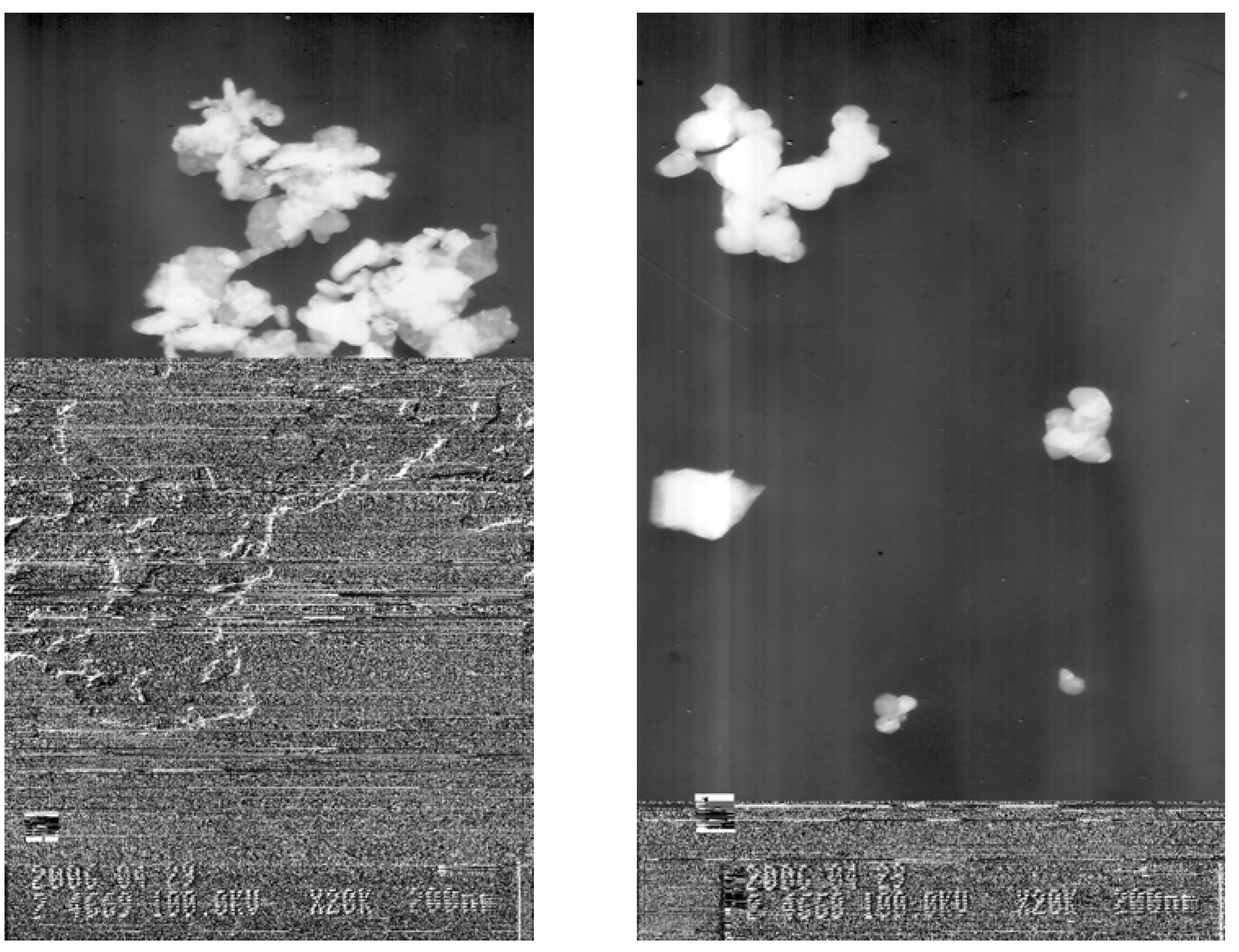 Molecules 13 00948 g010