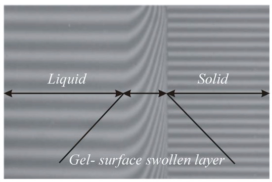 Molecules 13 01025 g008 550