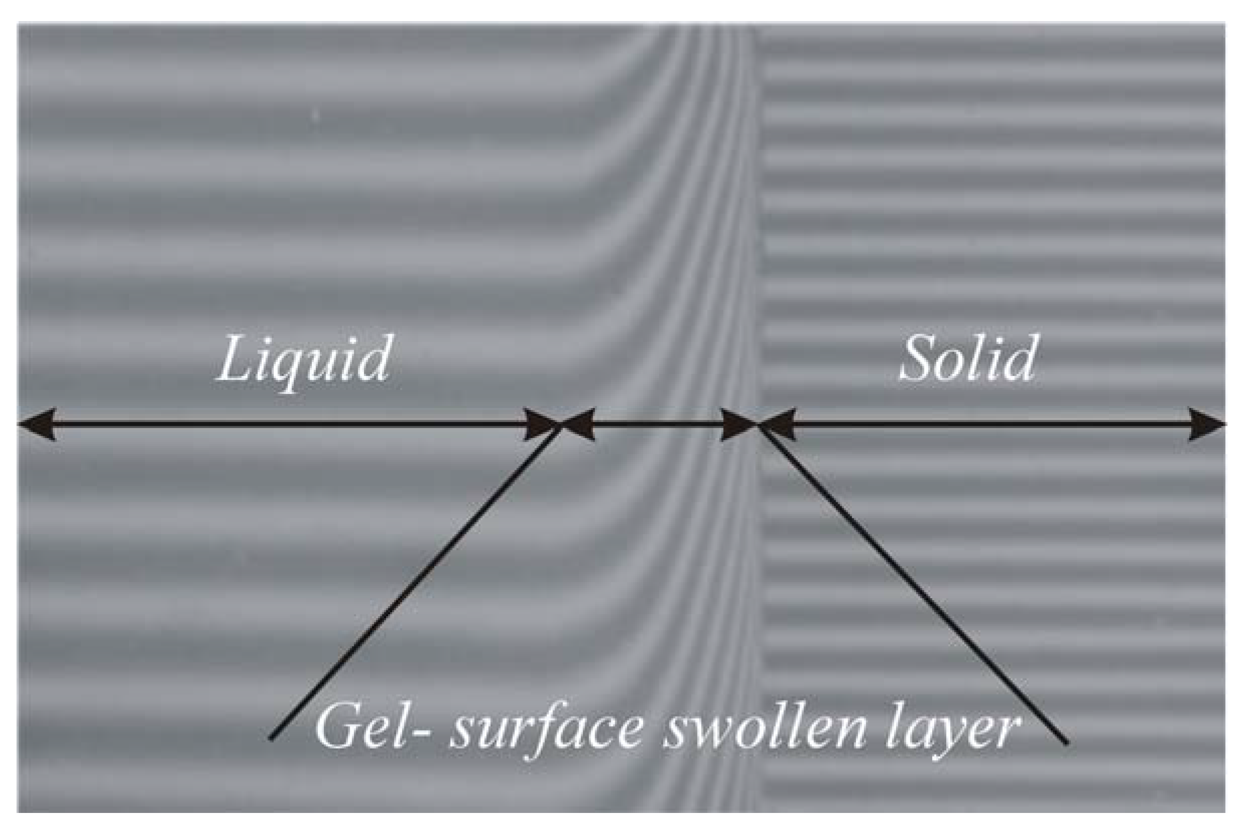 Molecules 13 01025 g008