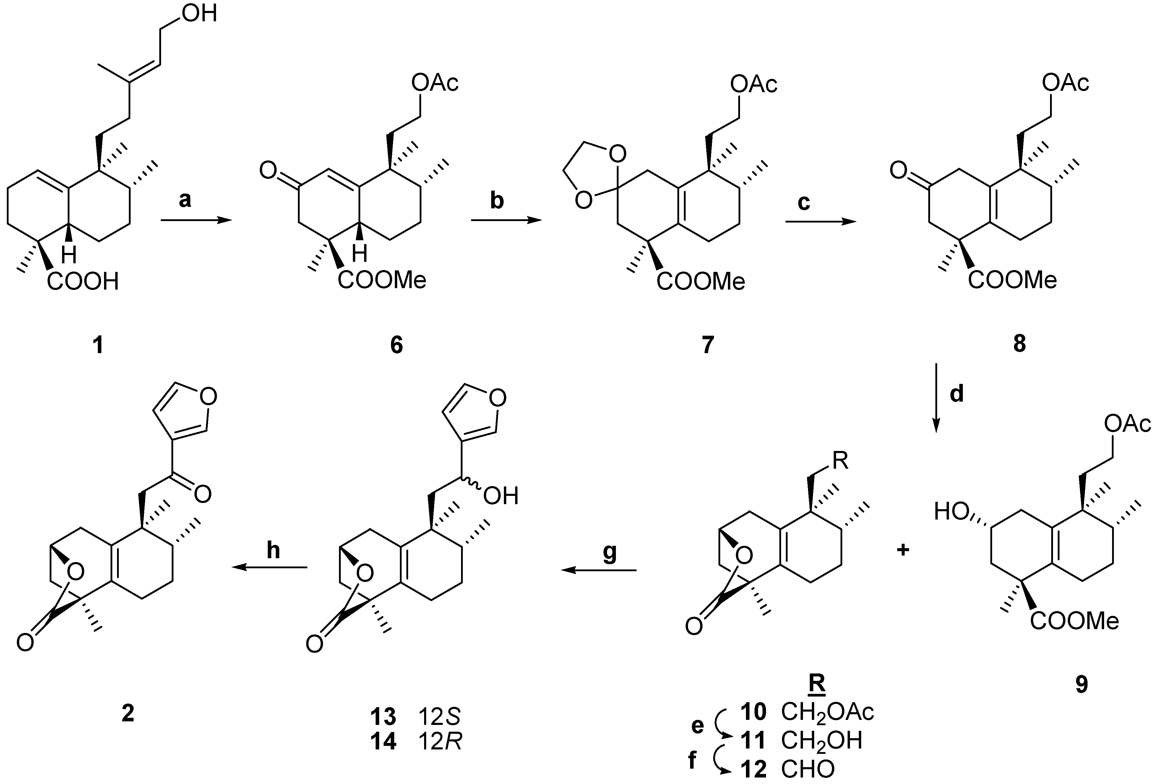 Molecules 13 01120 g002