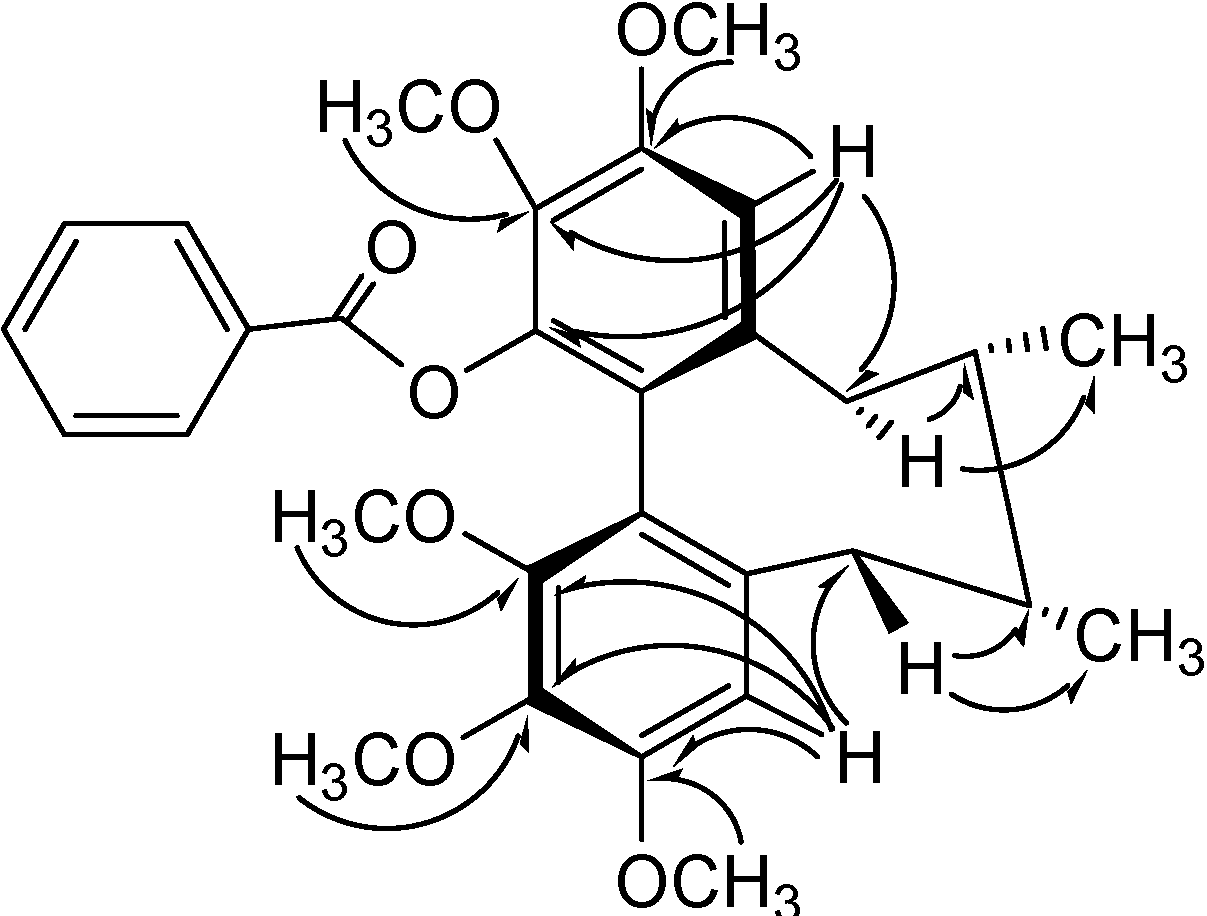 Molecules 13 01148 g004