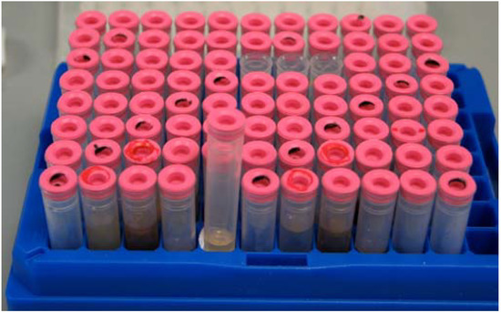 Molecules 13 01372 g001 550