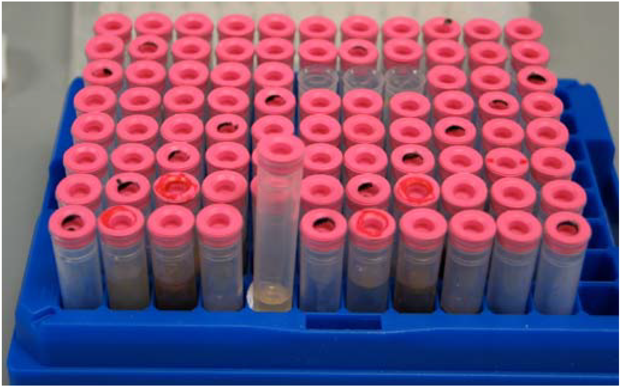 Molecules 13 01372 g001