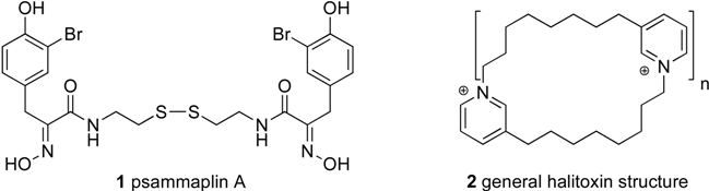 Molecules 13 01372 i001
