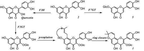 Molecules 13 01530 g003 550