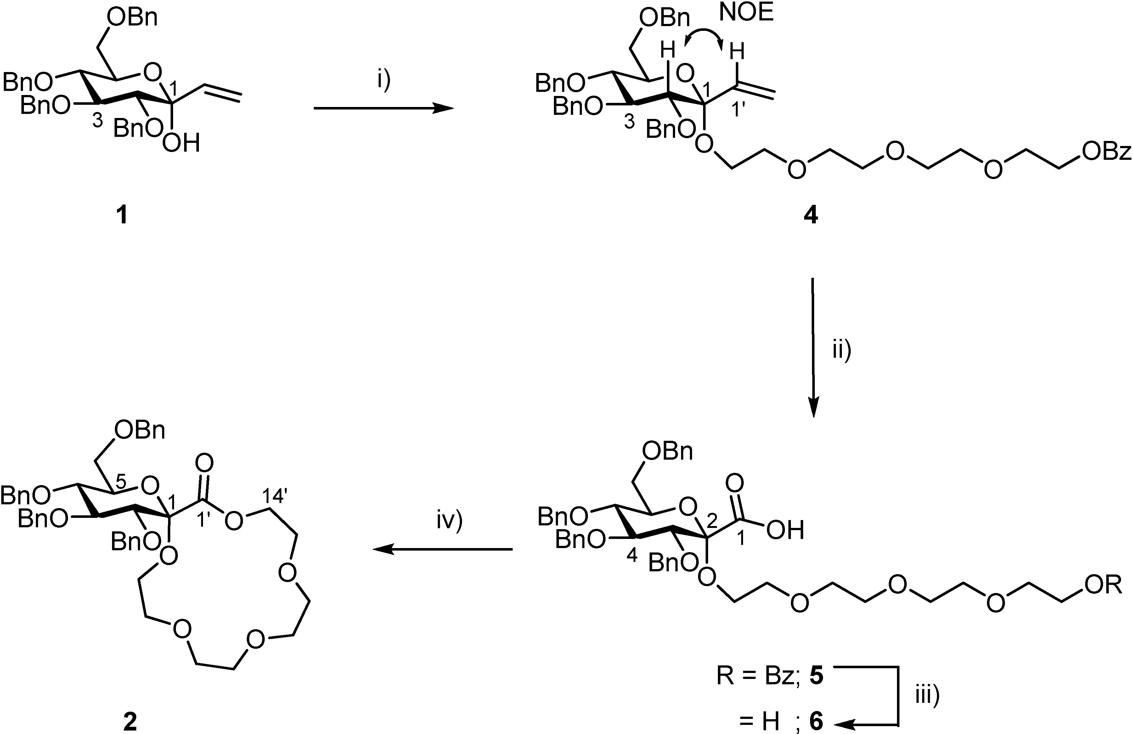 Molecules 13 01840 g001
