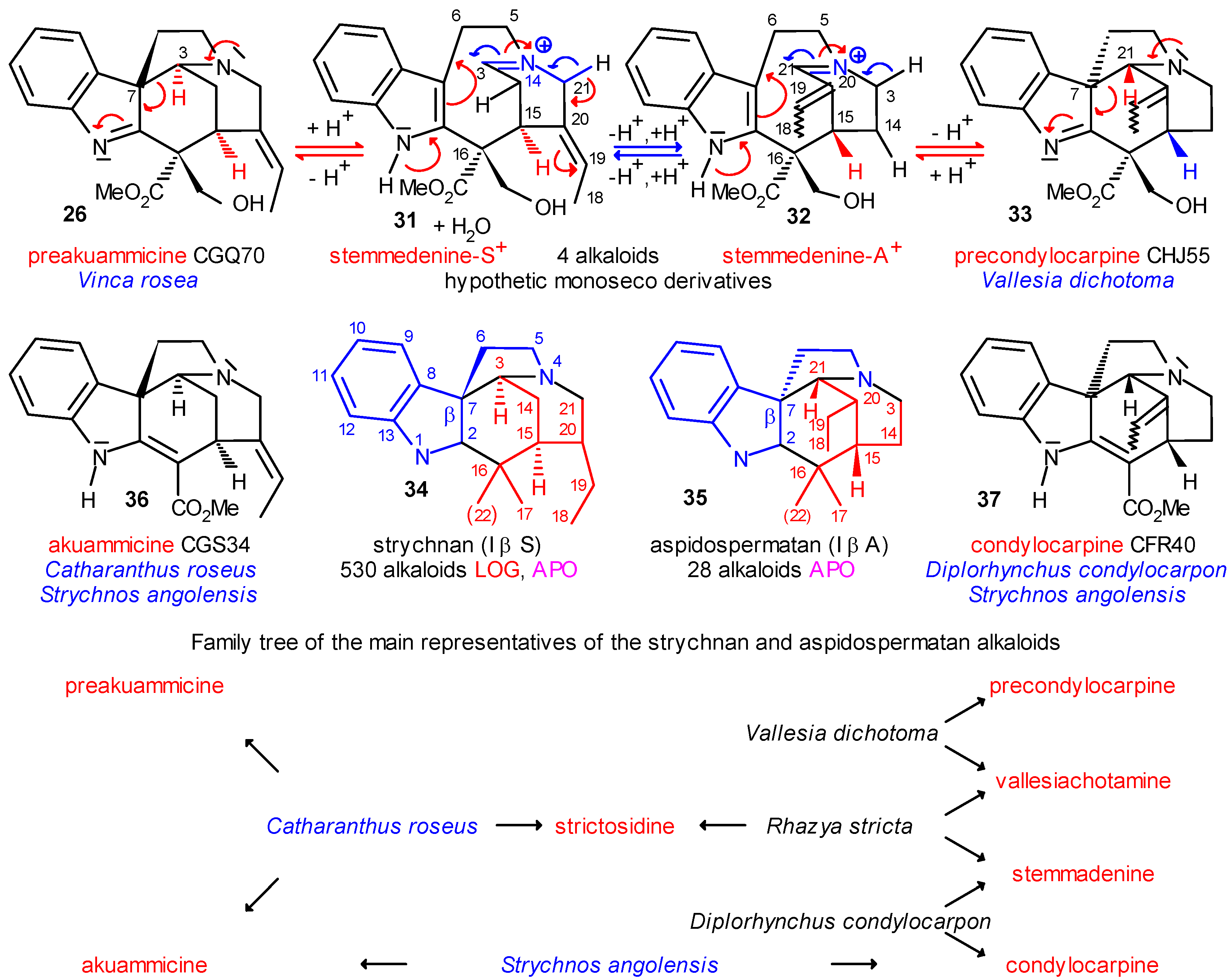 Molecules 13 01875 g006