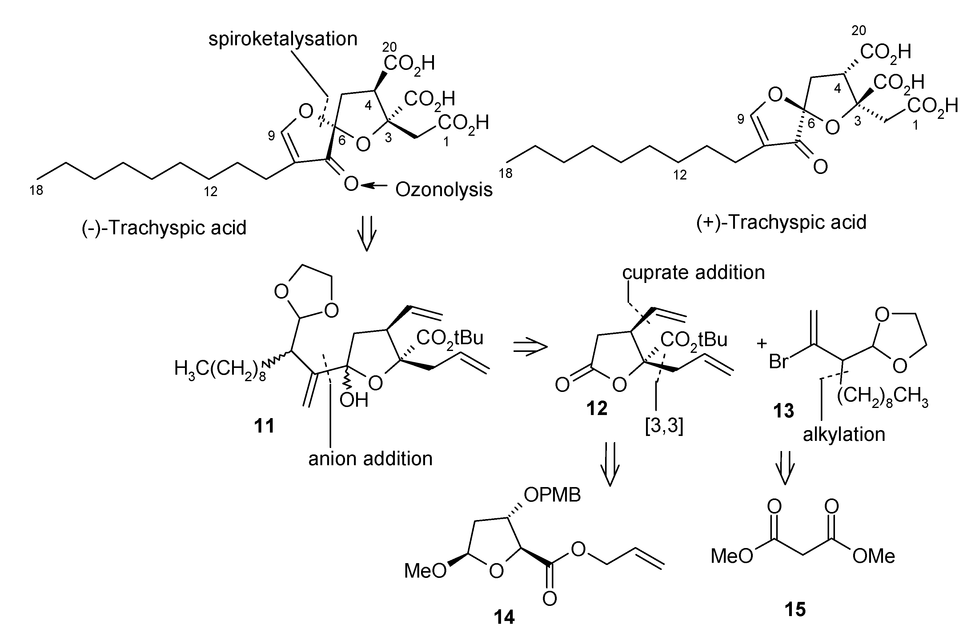 Molecules 13 01942 g006