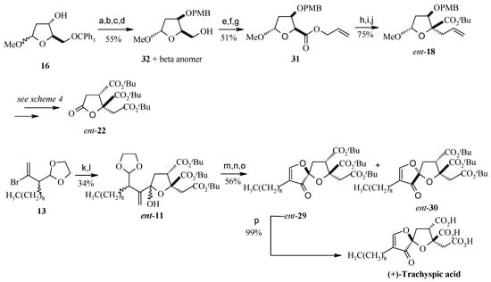 Molecules 13 01942 g011 550