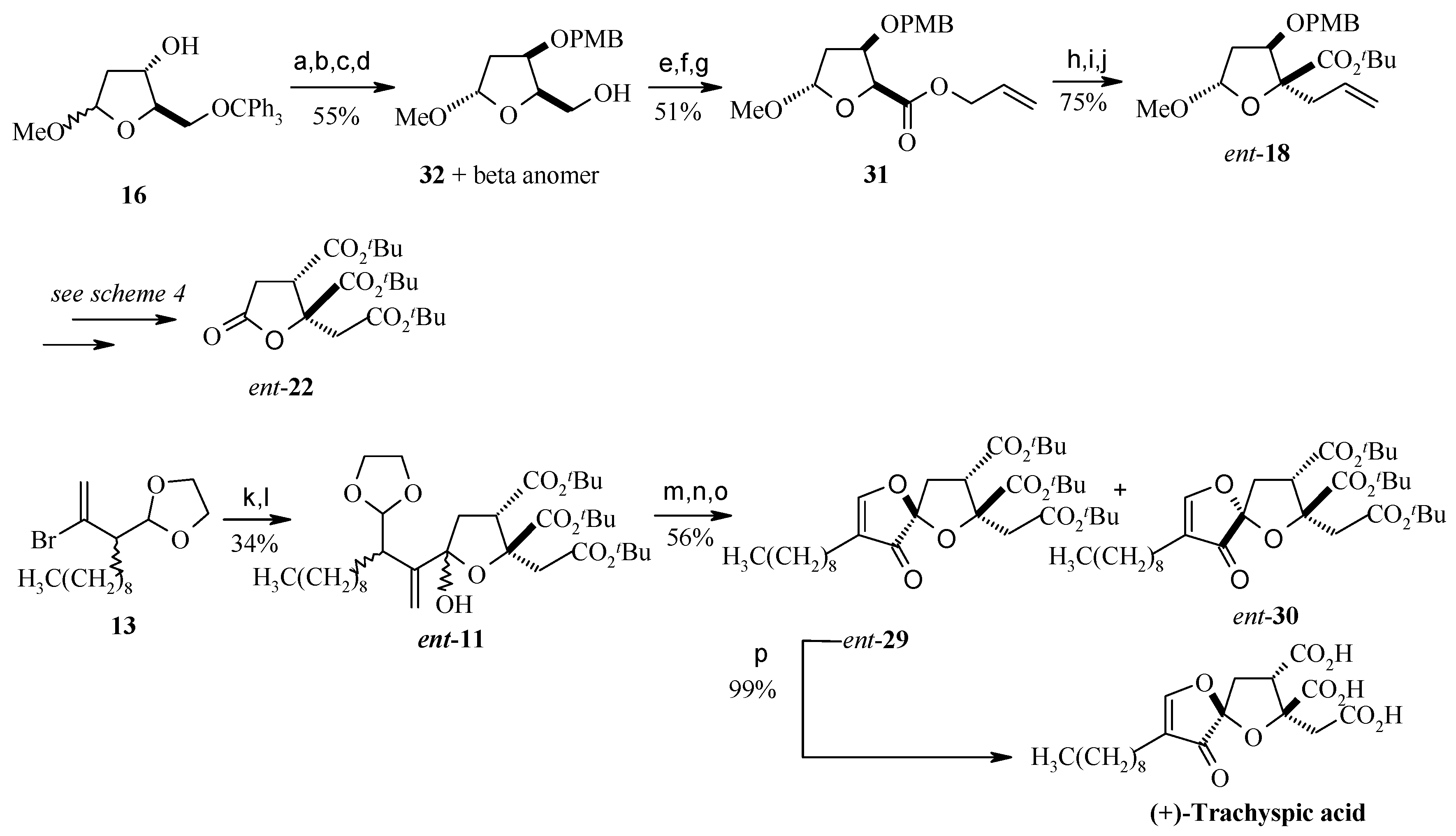 Molecules 13 01942 g011
