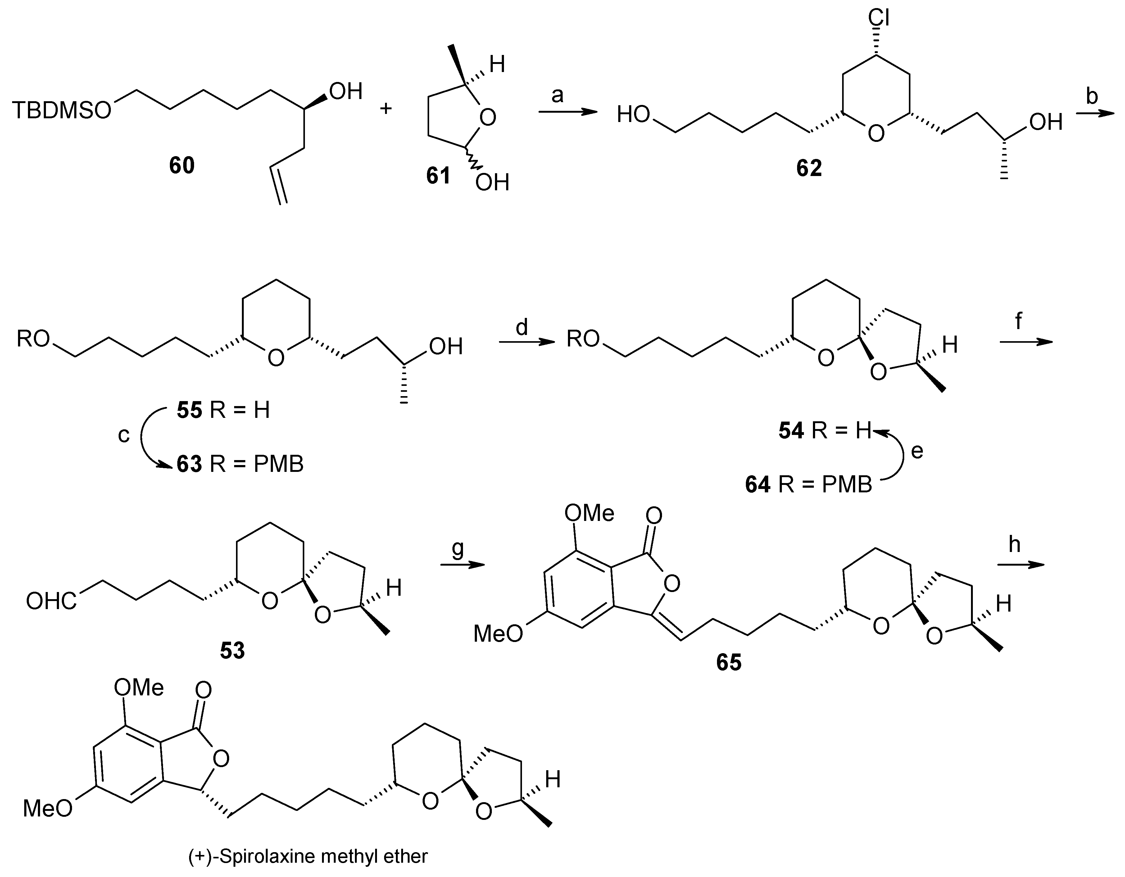 Molecules 13 01942 g017