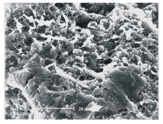 Molecules 13 02069 g006 550