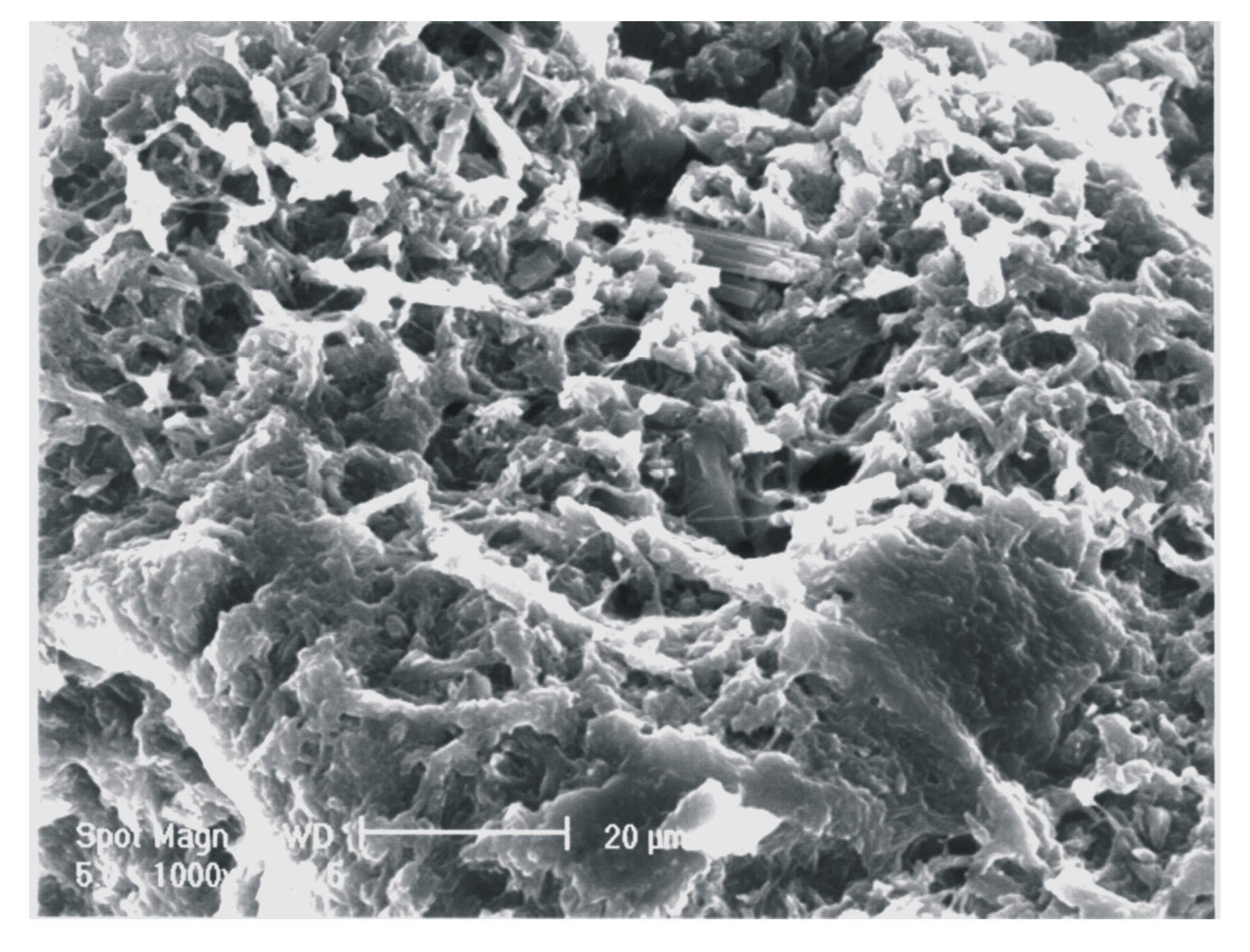 Molecules 13 02069 g006