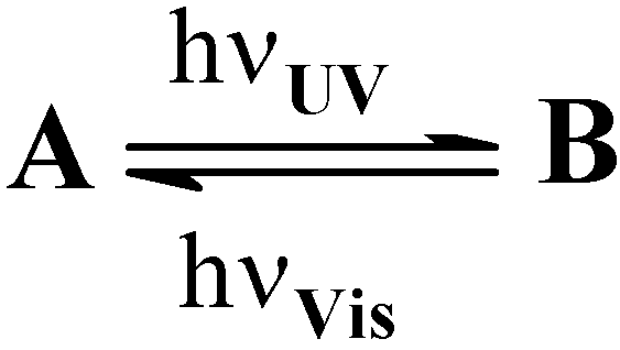 Molecules 13 02260 g019