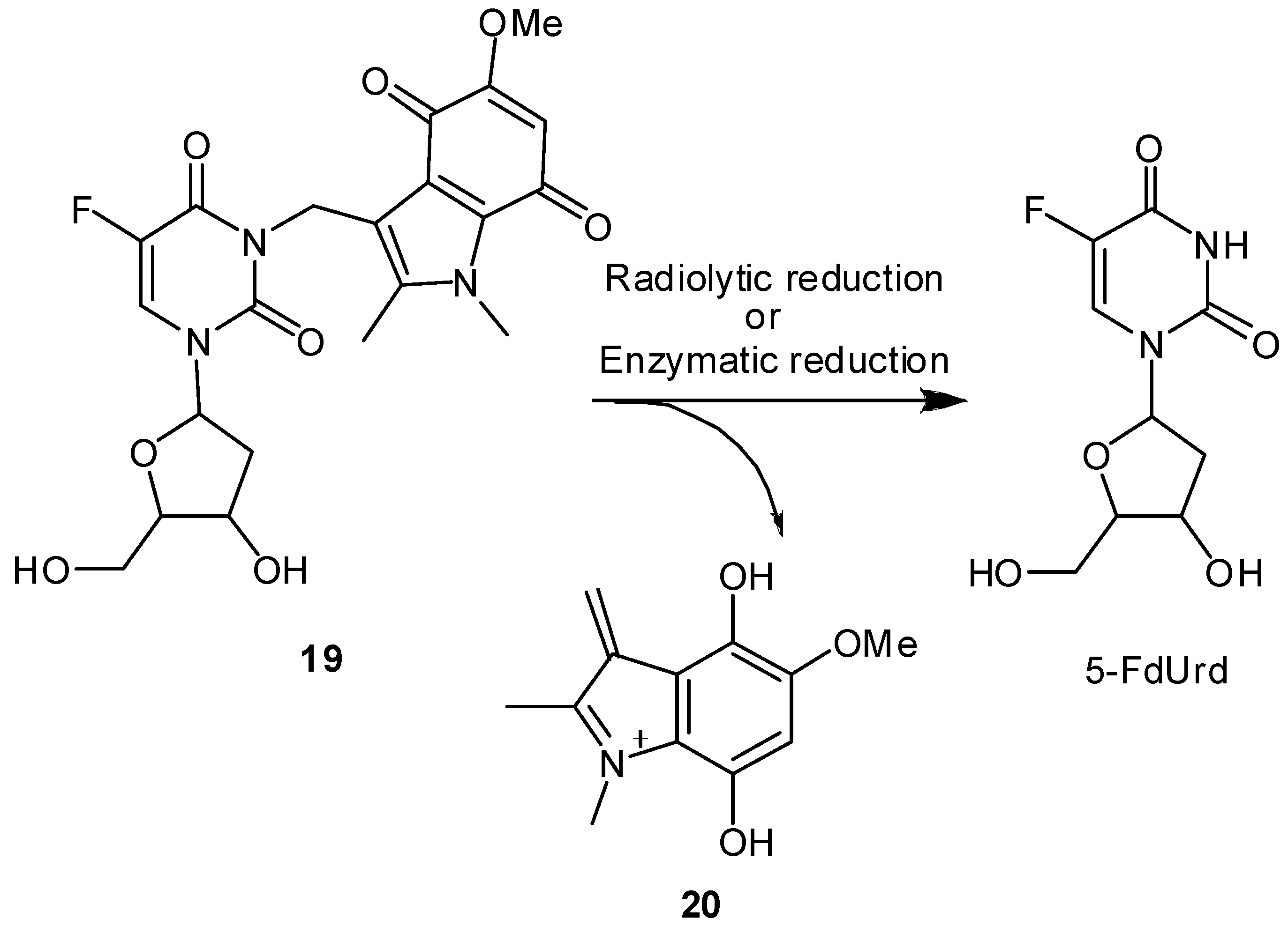 Molecules 13 02370 g007