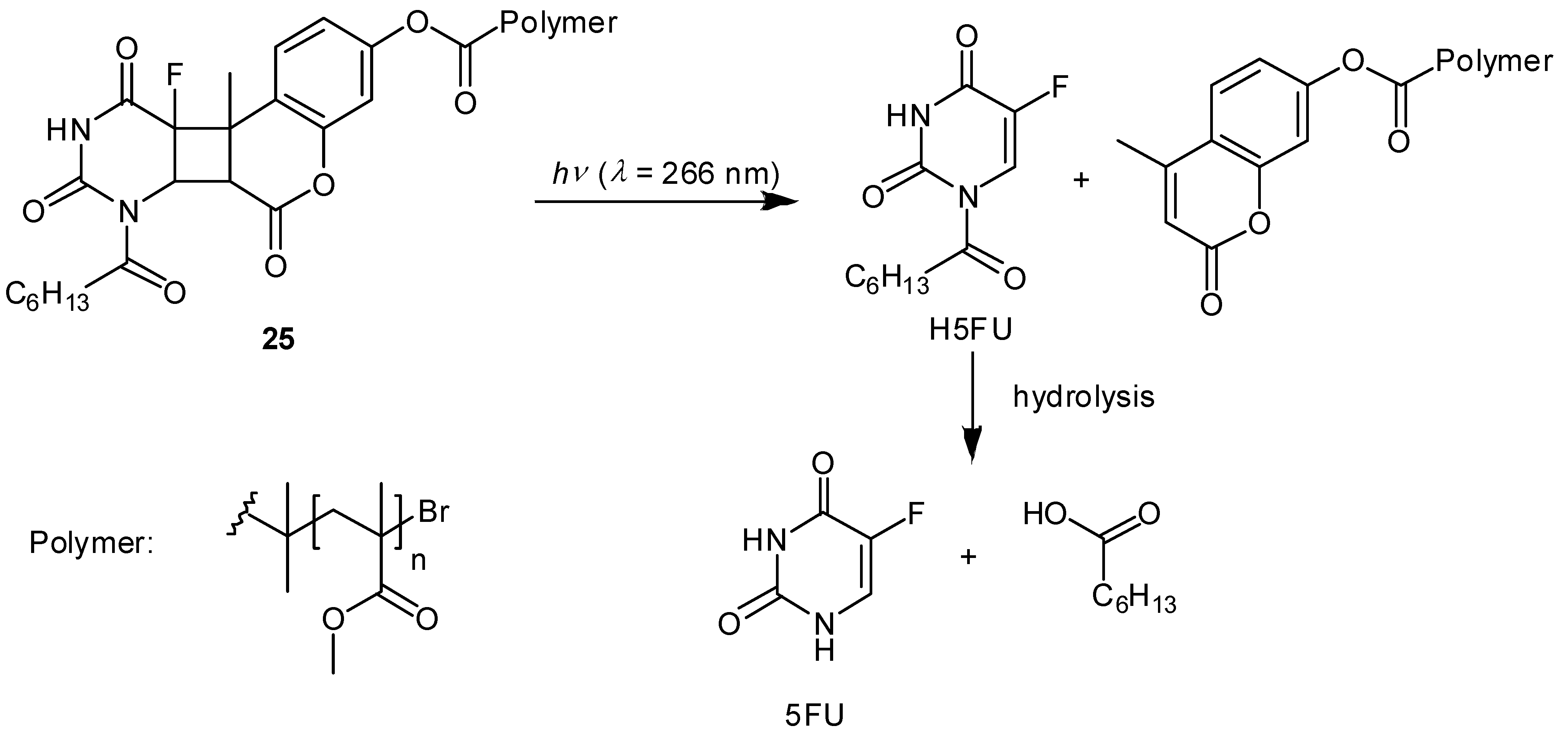 Molecules 13 02370 g011
