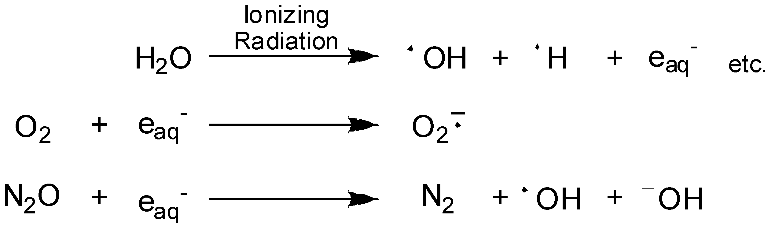Molecules 13 02370 g012