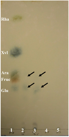 Molecules 13 02408 g004 550