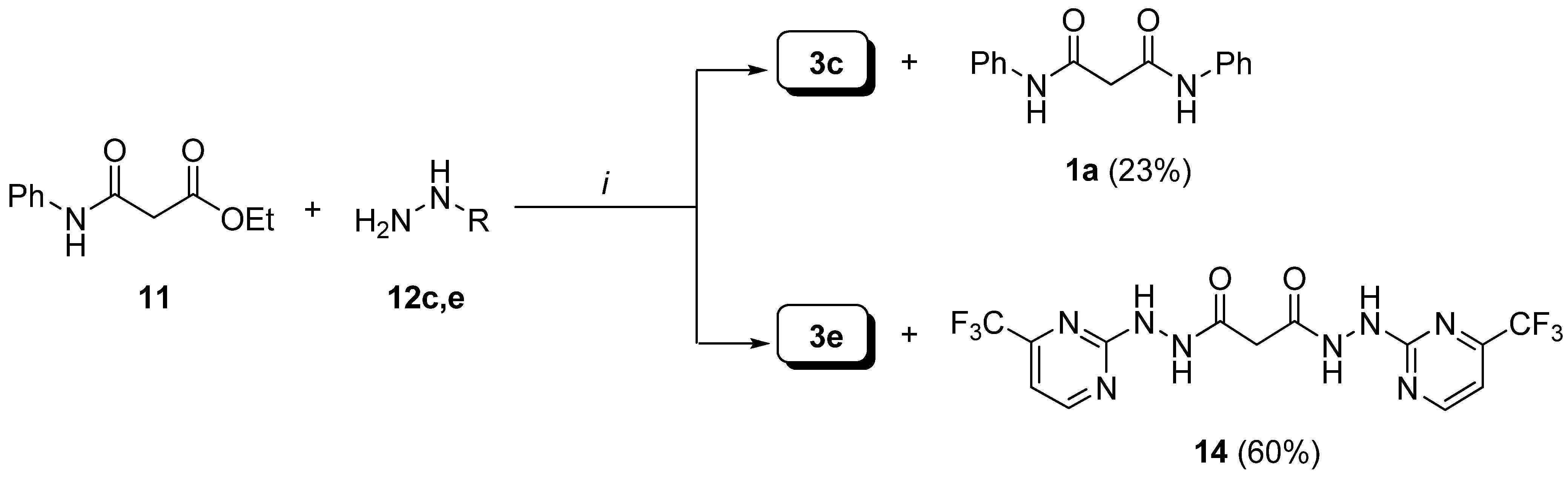 Molecules 13 02442 g012