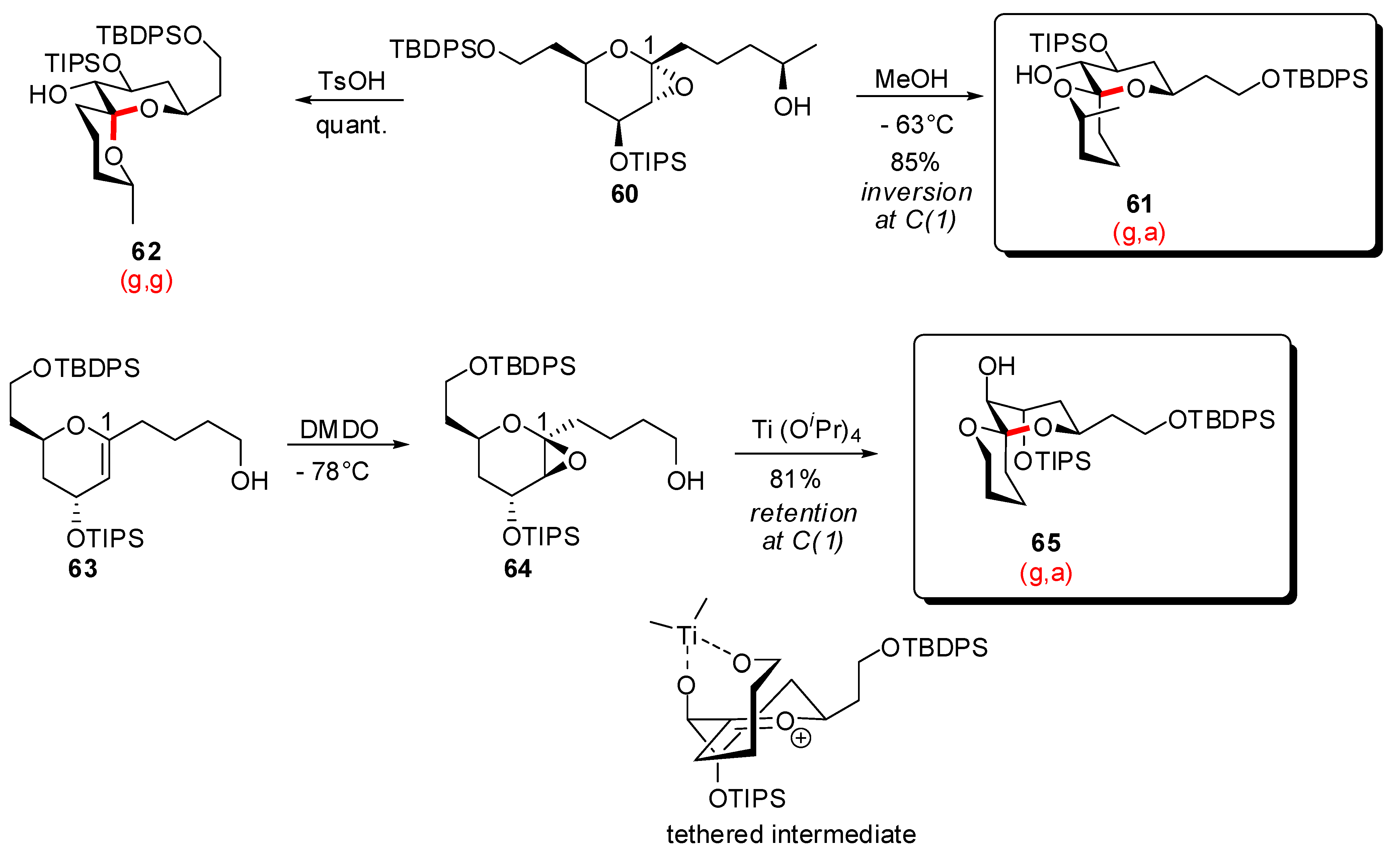 Molecules 13 02570 g014