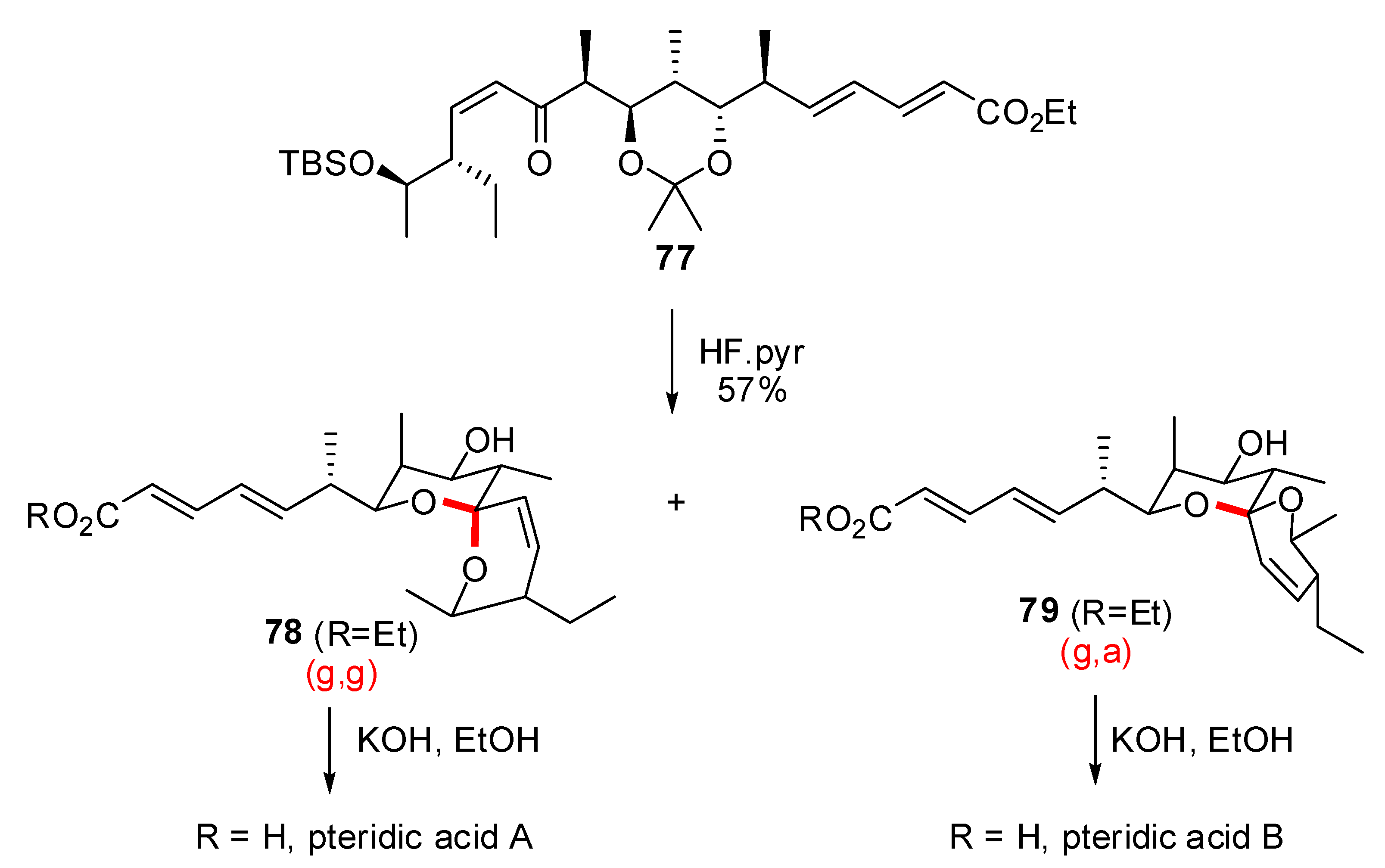Molecules 13 02570 g017