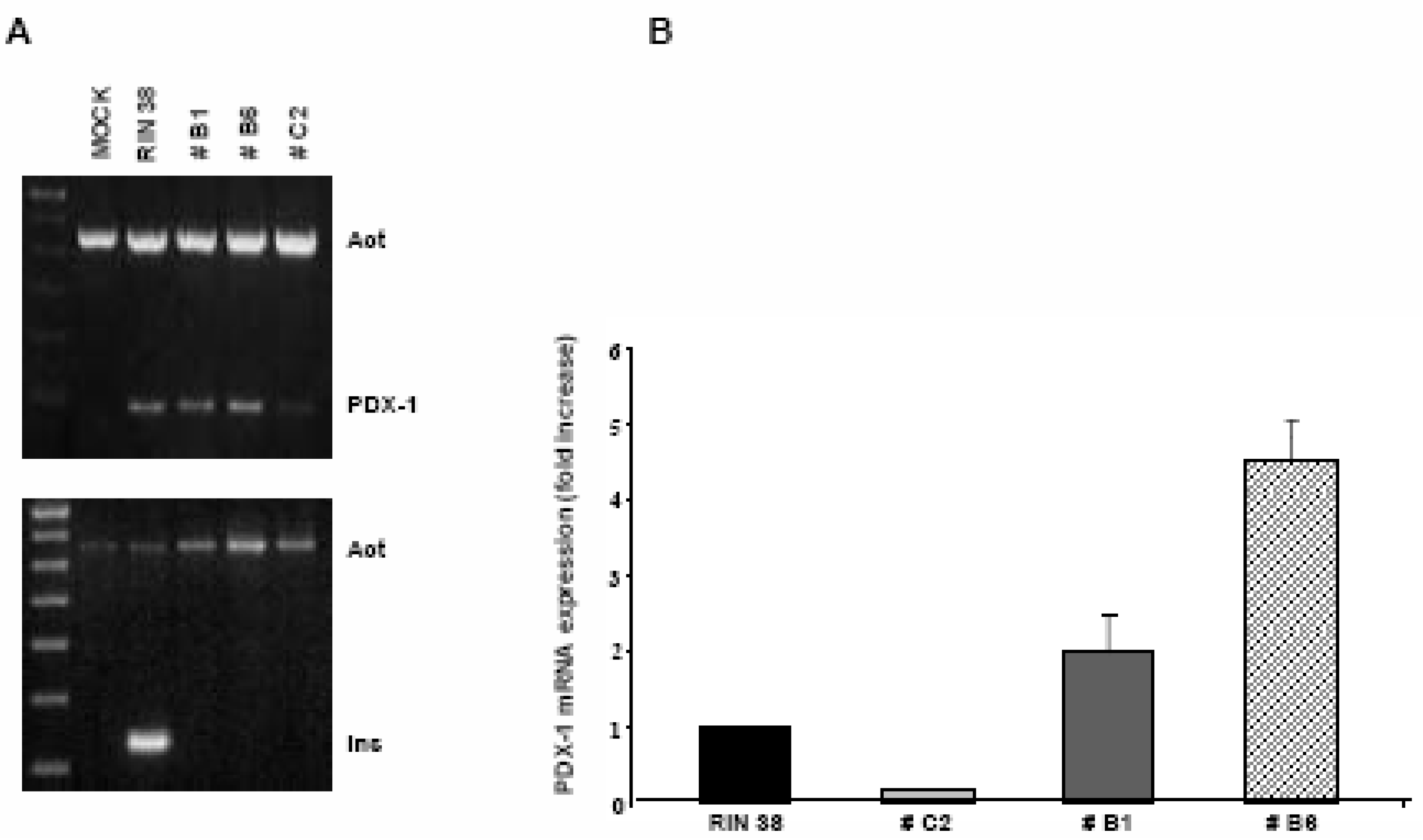Molecules 13 02659 g001