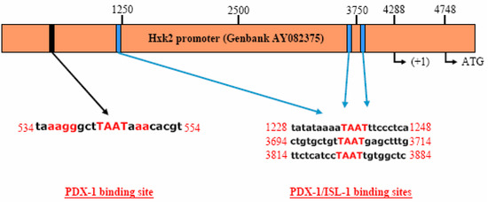 Molecules 13 02659 g004 550