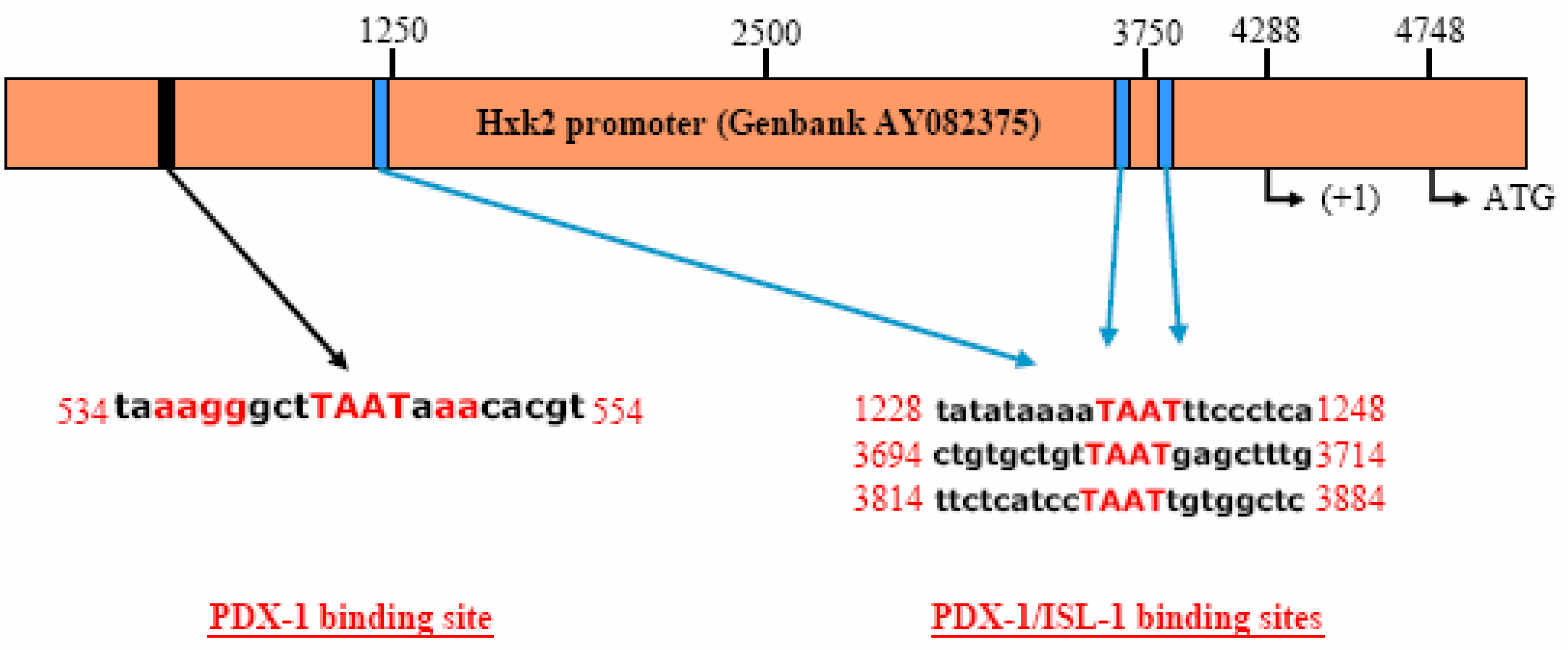 Molecules 13 02659 g004