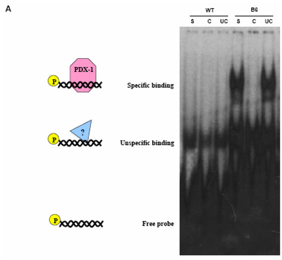 Molecules 13 02659 g005a 550