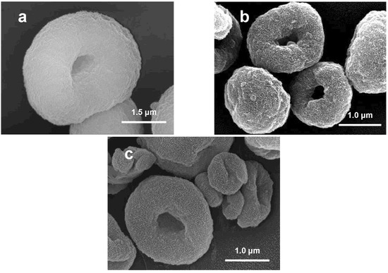 Molecules 13 02729 g001 550